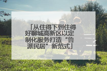 从住得下到住得好聊城高新区以定制化服务打造“鲁派民居”新范式