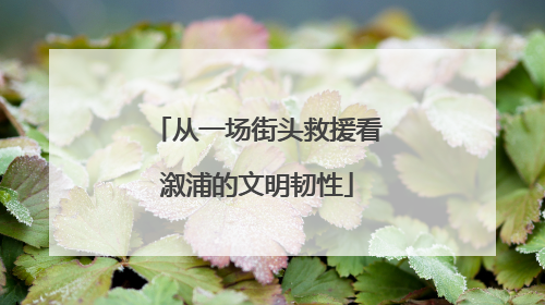 从一场街头救援看溆浦的文明韧性