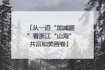 从一道“加减题”看浙江“山海”共富和美画卷