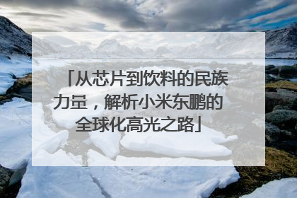 从芯片到饮料的民族力量，解析小米东鹏的全球化高光之路