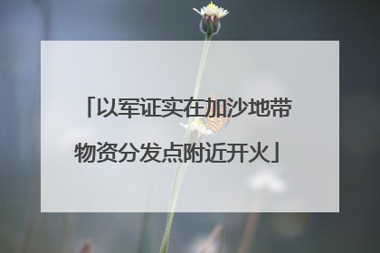 以军证实在加沙地带物资分发点附近开火