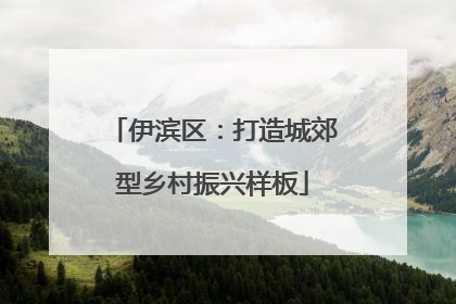 伊滨区：打造城郊型乡村振兴样板
