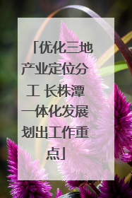 优化三地产业定位分工 长株潭一体化发展划出工作重点