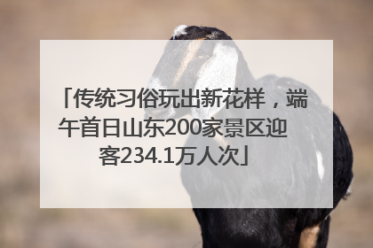 传统习俗玩出新花样，端午首日山东200家景区迎客234.1万人次