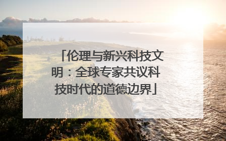 伦理与新兴科技文明：全球专家共议科技时代的道德边界