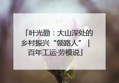 叶光勤：大山深处的乡村振兴“领路人”｜百年工运·劳模说