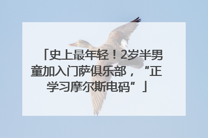 史上最年轻！2岁半男童加入门萨俱乐部，“正学习摩尔斯电码”