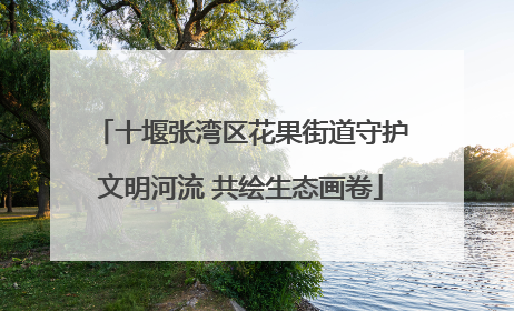十堰张湾区花果街道守护文明河流 共绘生态画卷