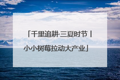 千里追耕·三夏时节丨小小树莓拉动大产业