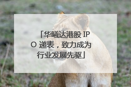 华曦达港股 IPO 递表，致力成为行业发展先驱