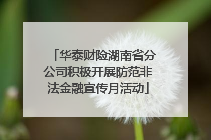 华泰财险湖南省分公司积极开展防范非法金融宣传月活动