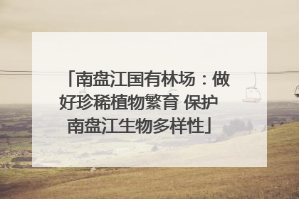 南盘江国有林场：做好珍稀植物繁育 保护南盘江生物多样性