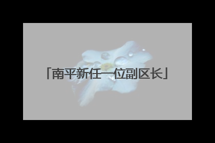 南平新任一位副区长
