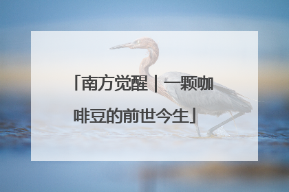 南方觉醒｜一颗咖啡豆的前世今生