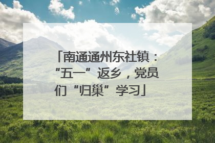南通通州东社镇：“五一”返乡，党员们“归巢”学习