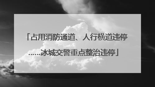 占用消防通道、人行横道违停……冰城交警重点整治违停