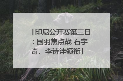 印尼公开赛第三日：国羽焦点战 石宇奇、李诗沣领衔