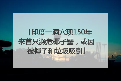 印度一洞穴现150年来首只濒危椰子蟹，或因被椰子和垃圾吸引