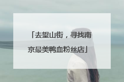 去望山街，寻找南京最美鸭血粉丝店