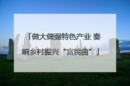 做大做强特色产业 奏响乡村振兴“富民曲”