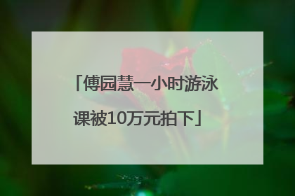 傅园慧一小时游泳课被10万元拍下