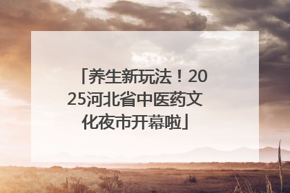 养生新玩法！2025河北省中医药文化夜市开幕啦