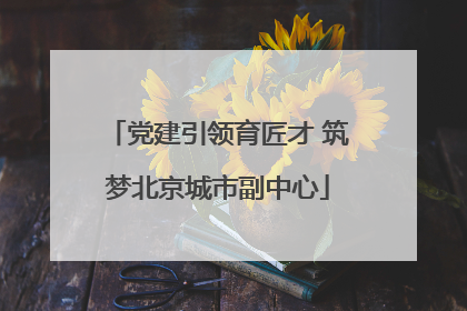 党建引领育匠才 筑梦北京城市副中心