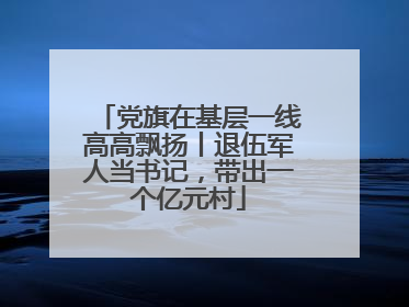 党旗在基层一线高高飘扬丨退伍军人当书记，带出一个亿元村