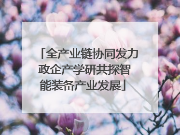 全产业链协同发力 政企产学研共探智能装备产业发展