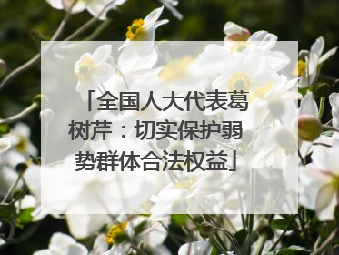 全国人大代表葛树芹：切实保护弱势群体合法权益