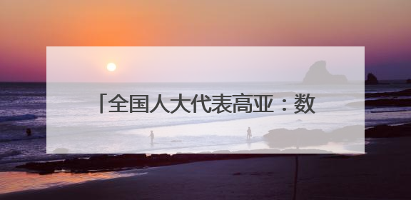 全国人大代表高亚：数智赋能破解执行难题