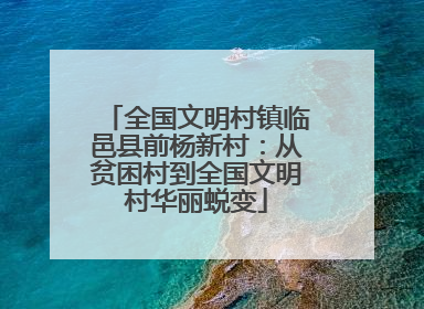 全国文明村镇临邑县前杨新村：从贫困村到全国文明村华丽蜕变