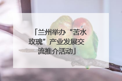兰州举办“苦水玫瑰”产业发展交流推介活动