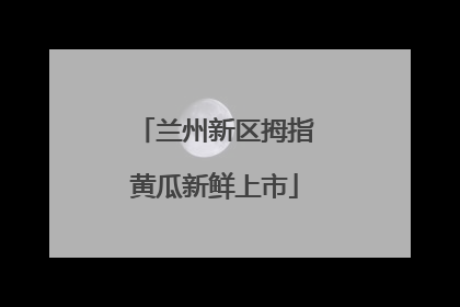 兰州新区拇指黄瓜新鲜上市
