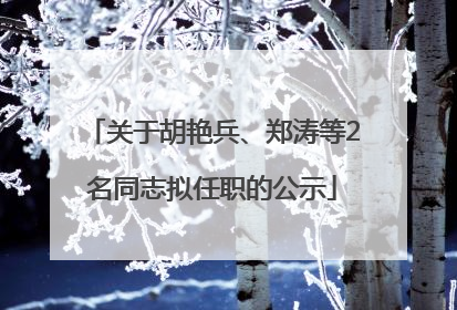 关于胡艳兵、郑涛等2名同志拟任职的公示