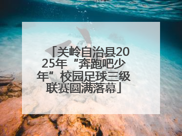 关岭自治县2025年“奔跑吧少年”校园足球三级联赛圆满落幕