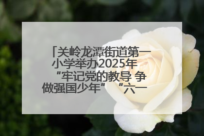 关岭龙潭街道第一小学举办2025年“牢记党的教导 争做强国少年”“六一”文艺汇演活动