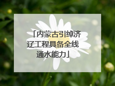内蒙古引绰济辽工程具备全线通水能力