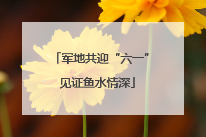 军地共迎“六一” 见证鱼水情深