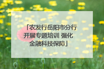 农发行岳阳市分行开展专题培训 强化金融科技保障