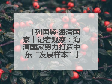 列国鉴·海湾国家丨记者观察：海湾国家努力打造中东“发展样本”