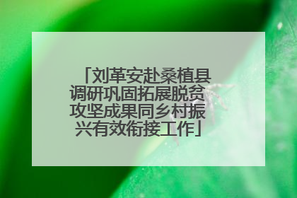 刘革安赴桑植县调研巩固拓展脱贫攻坚成果同乡村振兴有效衔接工作