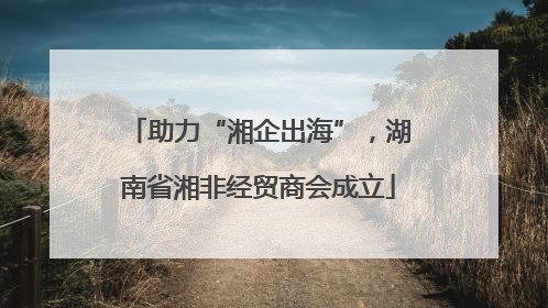 助力“湘企出海”，湖南省湘非经贸商会成立