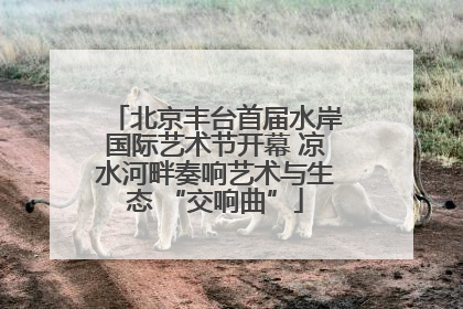 北京丰台首届水岸国际艺术节开幕 凉水河畔奏响艺术与生态 “交响曲”