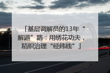 基层调解员的13年“解题”路：用绣花功夫，精织治理“经纬线”