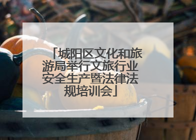 城阳区文化和旅游局举行文旅行业安全生产暨法律法规培训会
