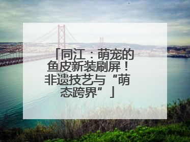 同江：萌宠的鱼皮新装刷屏！非遗技艺与“萌态跨界”