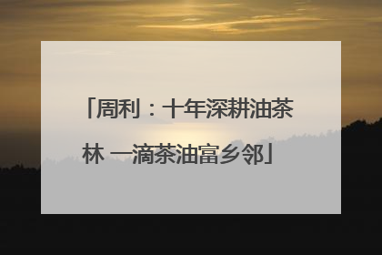 周利：十年深耕油茶林 一滴茶油富乡邻