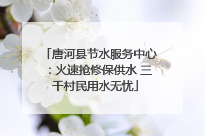 唐河县节水服务中心：火速抢修保供水 三千村民用水无忧