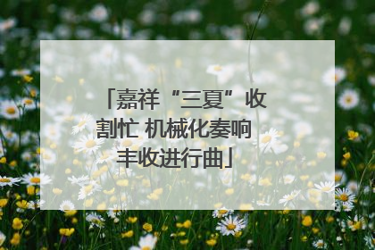 嘉祥“三夏”收割忙 机械化奏响丰收进行曲